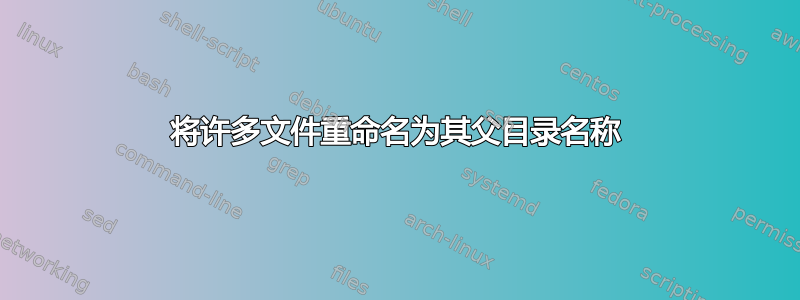 将许多文件重命名为其父目录名称