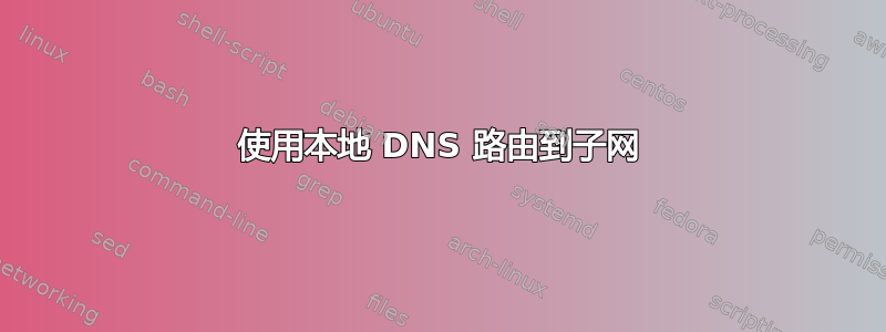 使用本地 DNS 路由到子网
