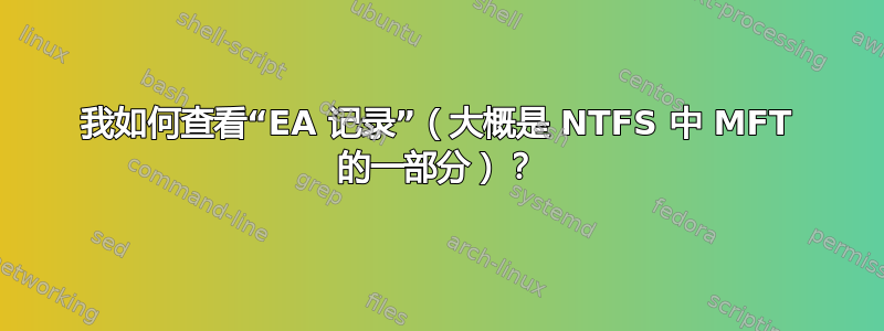 我如何查看“EA 记录”（大概是 NTFS 中 MFT 的一部分）？