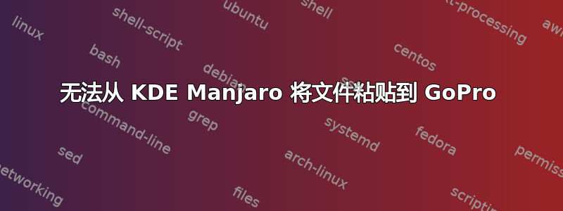 无法从 KDE Manjaro 将文件粘贴到 GoPro