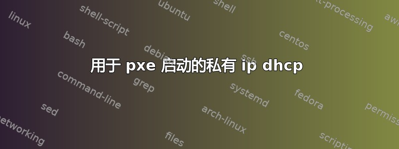 用于 pxe 启动的私有 ip dhcp