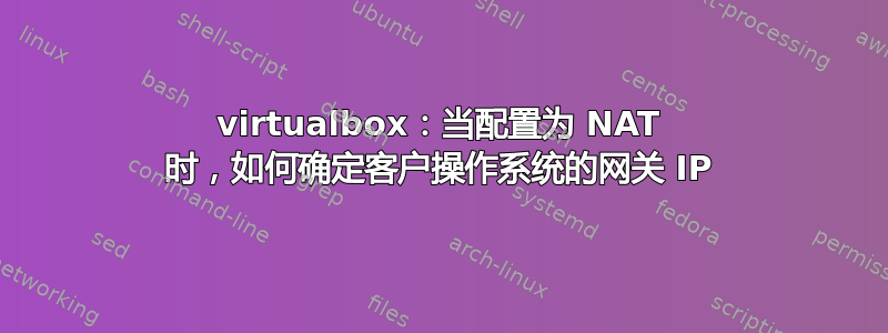 virtualbox：当配置为 NAT 时，如何确定客户操作系统的网关 IP