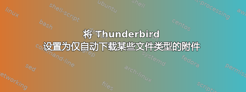 将 Thunderbird 设置为仅自动下载某些文件类型的附件