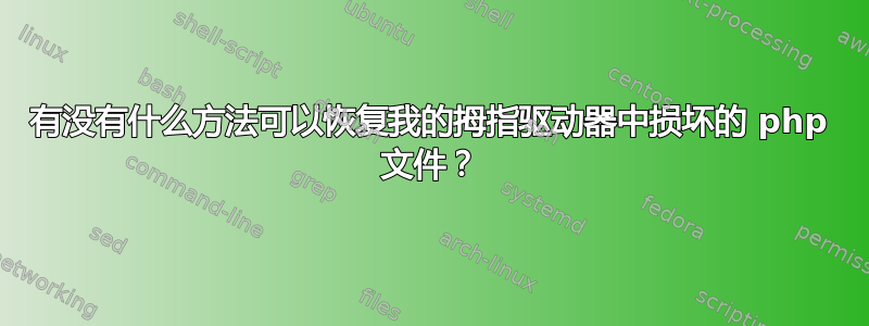 有没有什么方法可以恢复我的拇指驱动器中损坏的 php 文件？