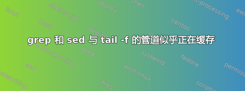 grep 和 sed 与 tail -f 的管道似乎正在缓存