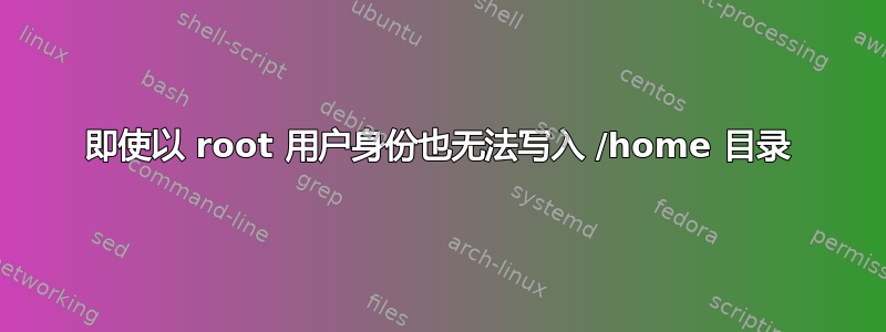 即使以 root 用户身份也无法写入 /home 目录