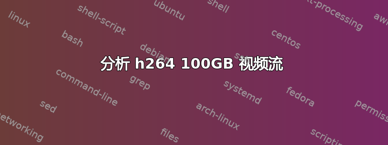 分析 h264 100GB 视频流