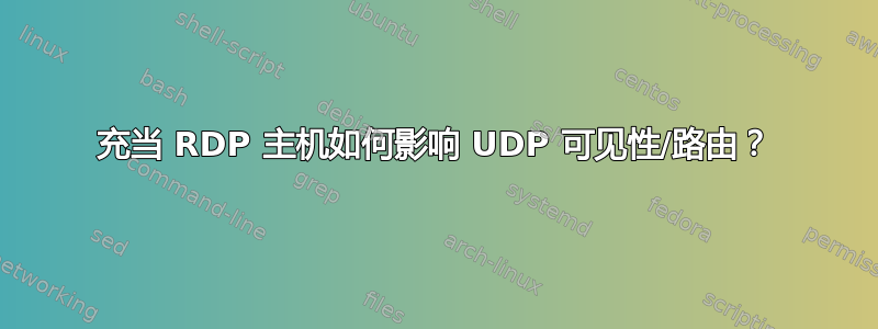 充当 RDP 主机如何影响 UDP 可见性/路由？