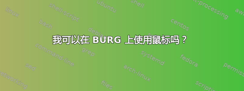 我可以在 BURG 上使用鼠标吗？