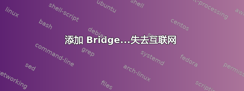 添加 Bridge...失去互联网