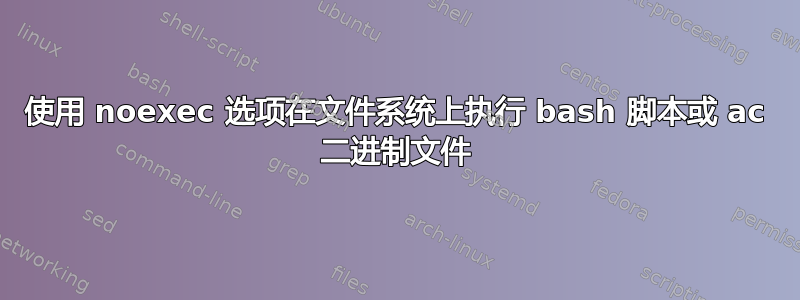 使用 noexec 选项在文件系统上执行 bash 脚本或 ac 二进制文件