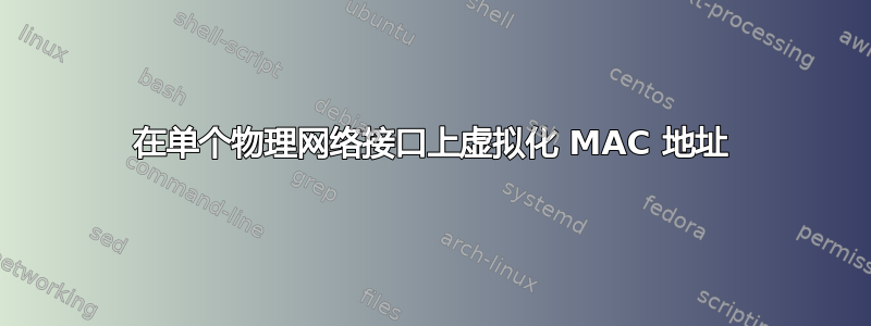 在单个物理网络接口上虚拟化 MAC 地址