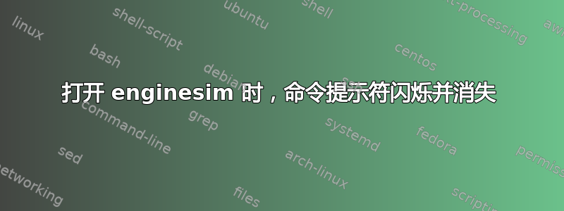 打开 enginesim 时，命令提示符闪烁并消失