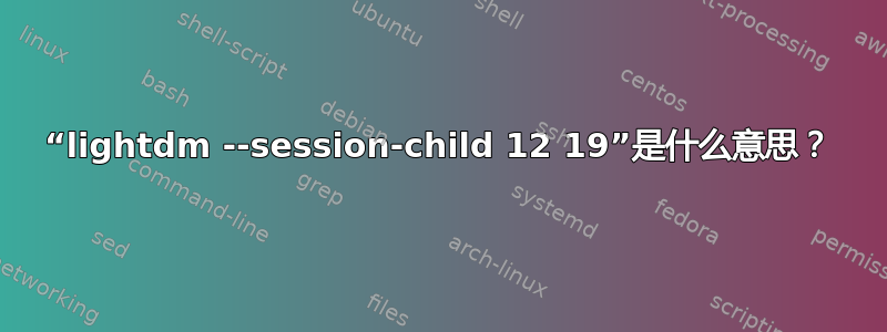 “lightdm --session-child 12 19”是什么意思？