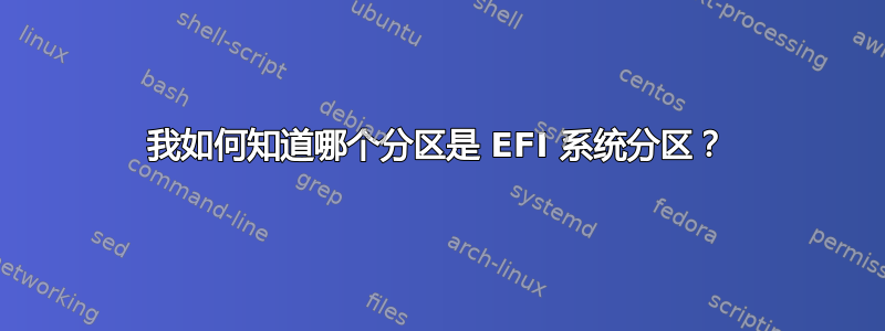 我如何知道哪个分区是 EFI 系统分区？