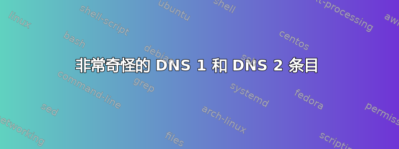 非常奇怪的 DNS 1 和 DNS 2 条目