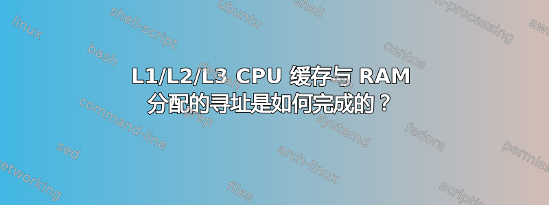 L1/L2/L3 CPU 缓存与 RAM 分配的寻址是如何完成的？