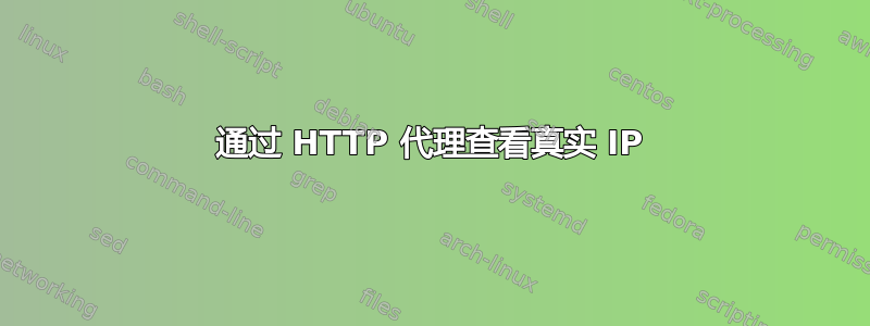 通过 HTTP 代理查看真实 IP