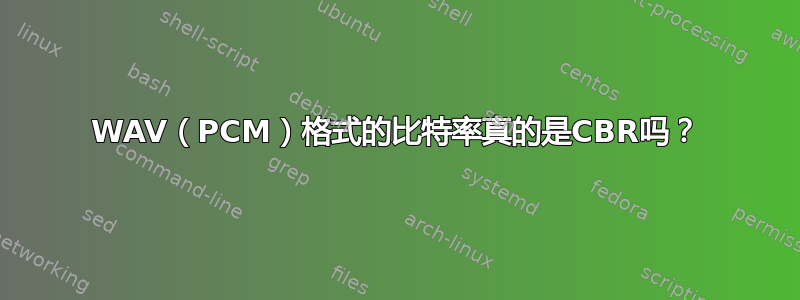 WAV（PCM）格式的比特率真的是CBR吗？