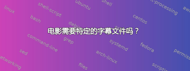 电影需要特定的字幕文件吗？