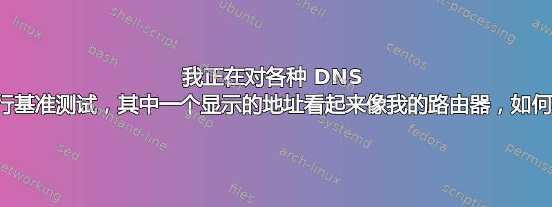 我正在对各种 DNS 服务器进行基准测试，其中一个显示的地址看起来像我的路由器，如何检查它？