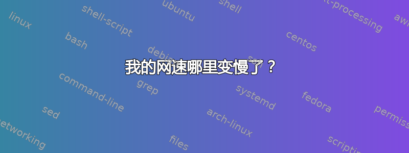 我的网速哪里变慢了？