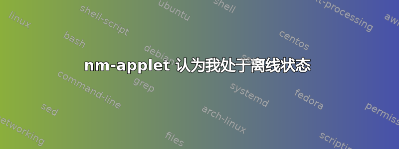 nm-applet 认为我处于离线状态