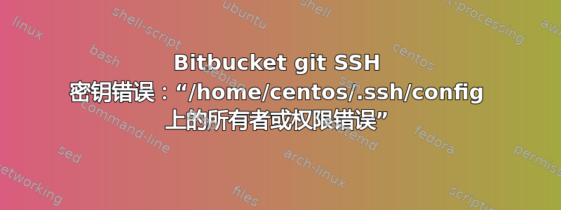 Bitbucket git SSH 密钥错误：“/home/centos/.ssh/config 上的所有者或权限错误”