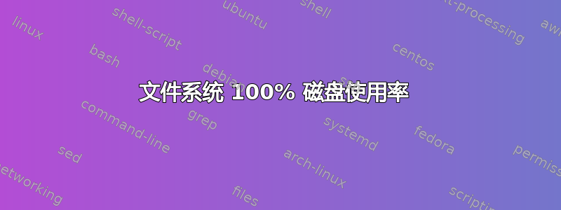 文件系统 100% 磁盘使用率 