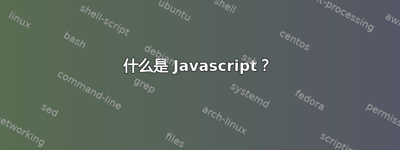 什么是 Javascript？