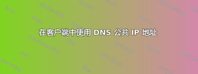 在客户端中使用 DNS 公共 IP 地址