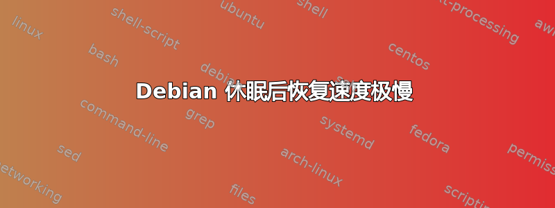 Debian 休眠后恢复速度极慢