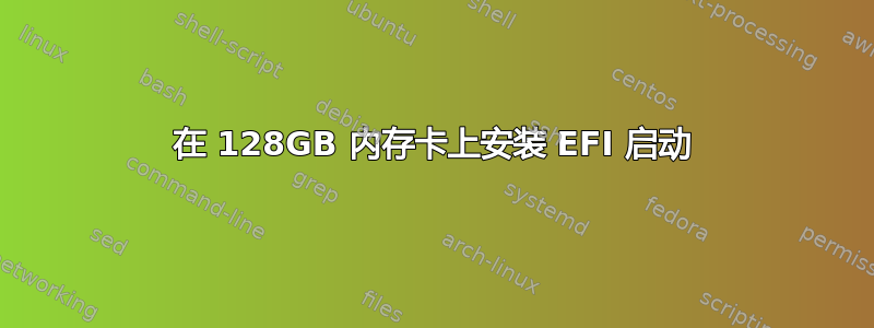 在 128GB 内存卡上安装 EFI 启动