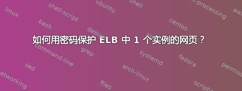 如何用密码保护 ELB 中 1 个实例的网页？