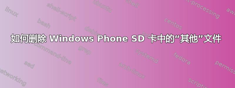 如何删除 Windows Phone SD 卡中的“其他”文件