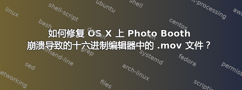 如何修复 OS X 上 Photo Booth 崩溃导致的十六进制编辑器中的 .mov 文件？