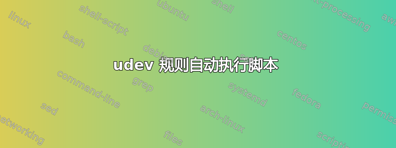 udev 规则自动执行脚本