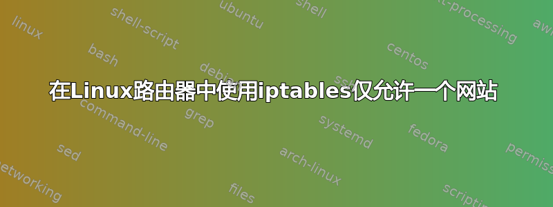 在Linux路由器中使用iptables仅允许一个网站