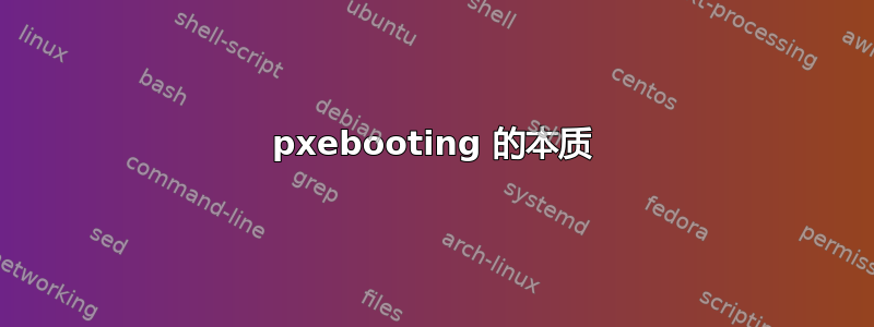 pxebooting 的本质