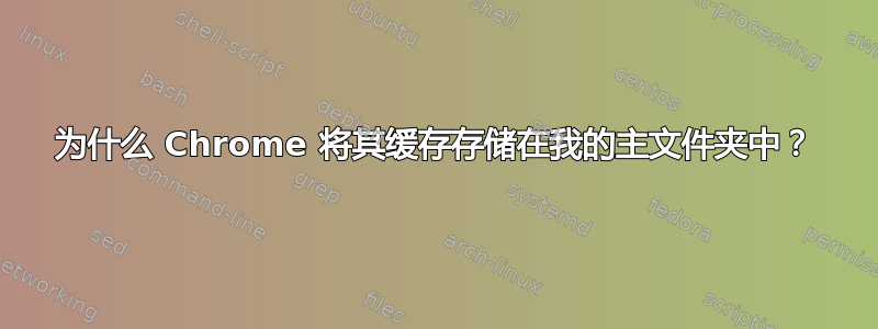 为什么 Chrome 将其缓存存储在我的主文件夹中？