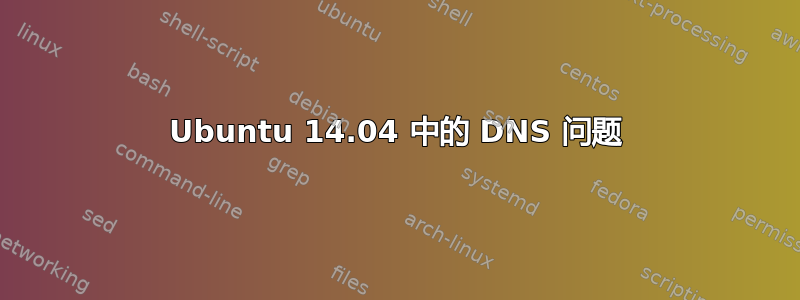 Ubuntu 14.04 中的 DNS 问题