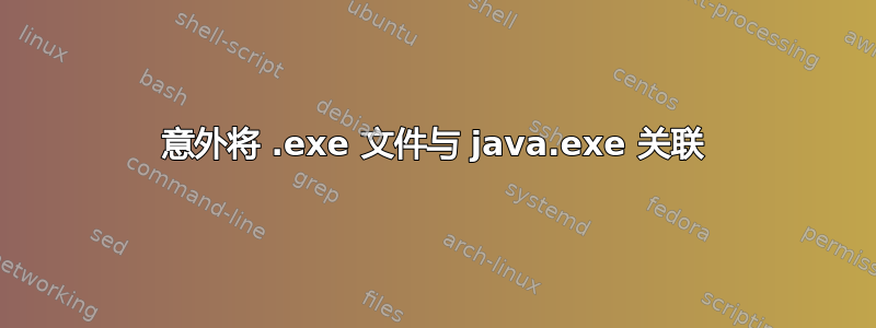 意外将 .exe 文件与 java.exe 关联