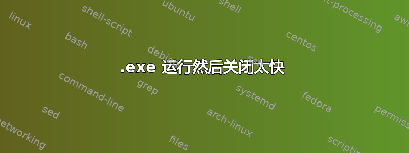 .exe 运行然后关闭太快