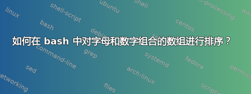 如何在 bash 中对字母和数字组合的数组进行排序？ 