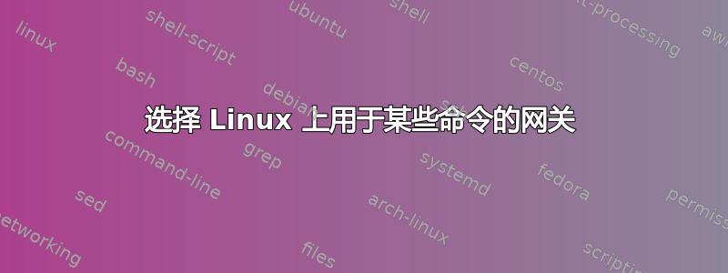 选择 Linux 上用于某些命令的网关