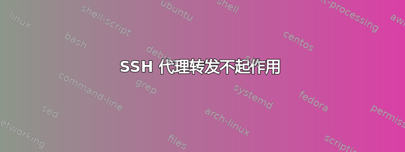 SSH 代理转发不起作用