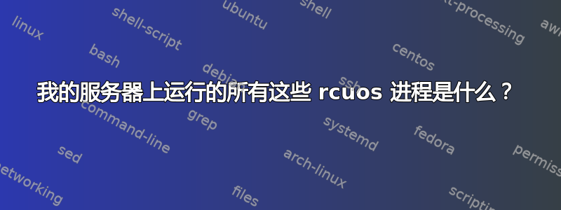 我的服务器上运行的所有这些 rcuos 进程是什么？