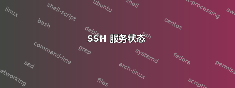 SSH 服务状态