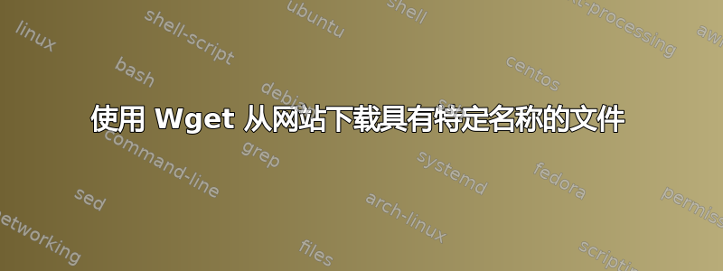 使用 Wget 从网站下载具有特定名称的文件