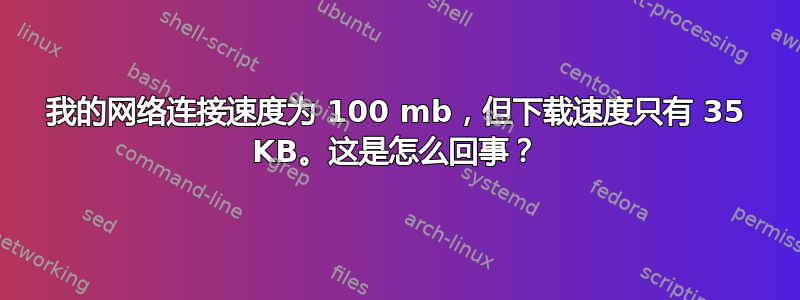 我的网络连接速度为 100 mb，但下载速度只有 35 KB。这是怎么回事？